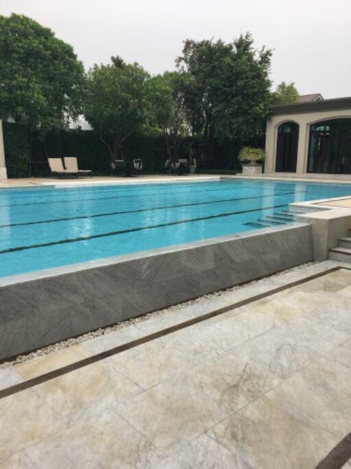 Swimming pool with loungers and greenery