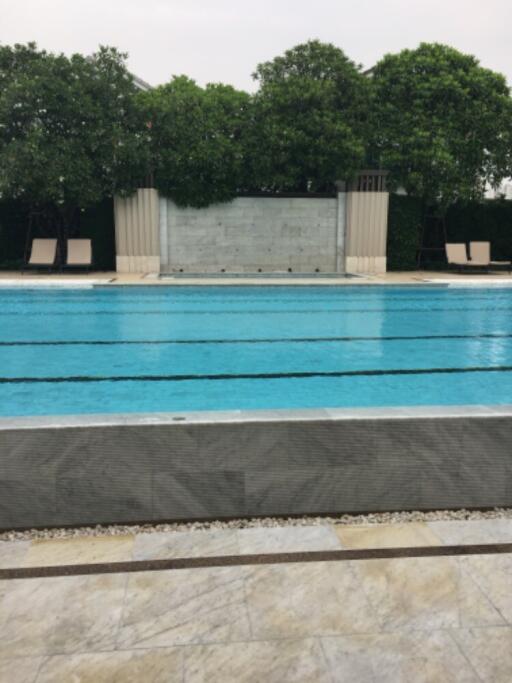 Outdoor swimming pool with lounging chairs and greenery