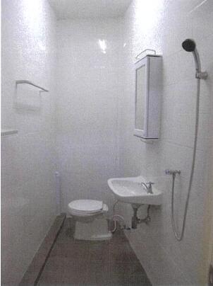 Small bathroom with shower, sink, and toilet