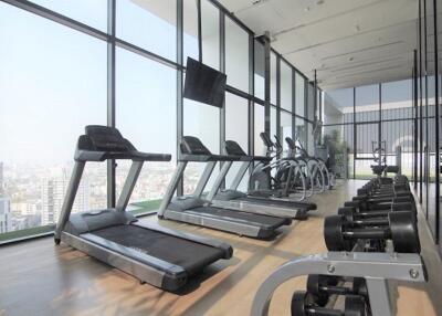 Modern gym with exercise equipment and city view