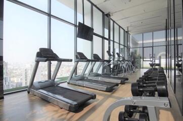 Modern gym with exercise equipment and city view