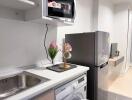 Modern kitchen with appliances and decorative elements