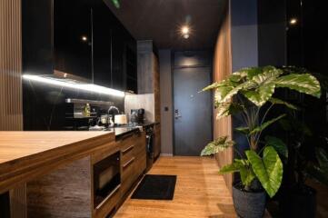 Modern kitchen with wooden accents and indoor plants