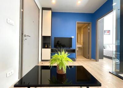 Modern living room with blue accent wall and black coffee table