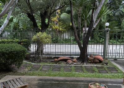 View of a garden area from a patio