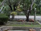 View of a garden area from a patio