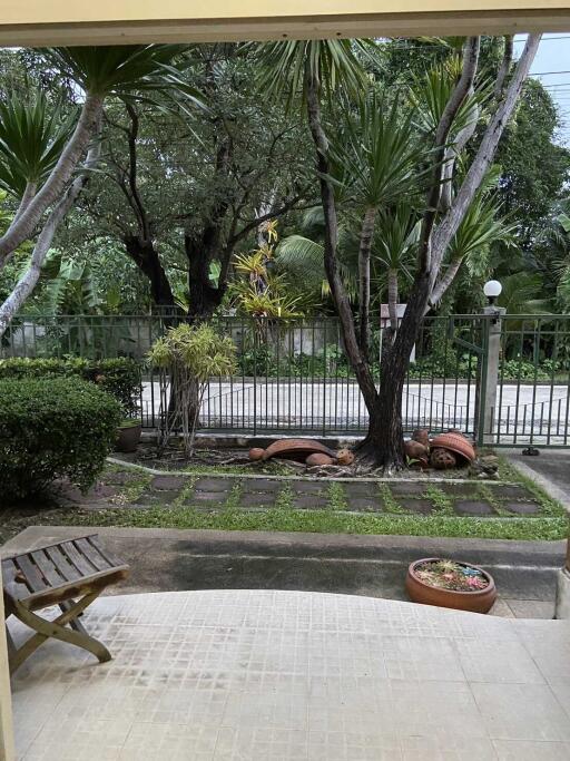 View of a garden area from a patio