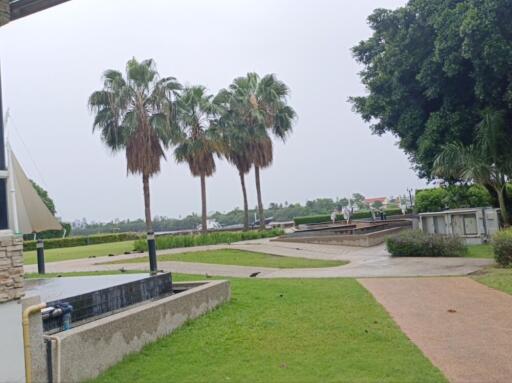 Well-maintained outdoor area with palm trees and paved pathways