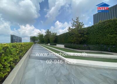 Outdoor area with pathway, greenery, and hedges