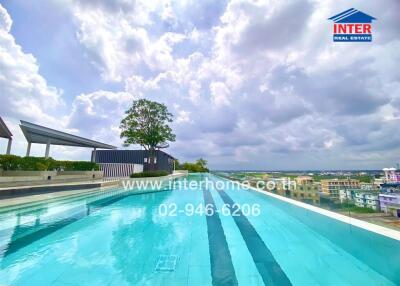 Swimming pool on a rooftop with a view of the cityscape