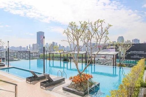 Rooftop swimming pool with lounge chairs and city skyline view