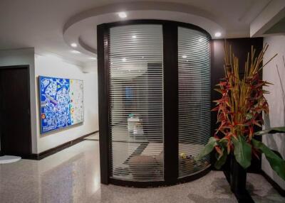 Modern hallway with frosted glass feature and decorative plant