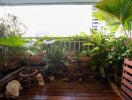 A green balcony with various plants and wooden flooring