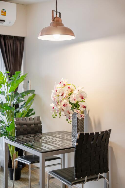 Modern dining area with table, chairs, and plants