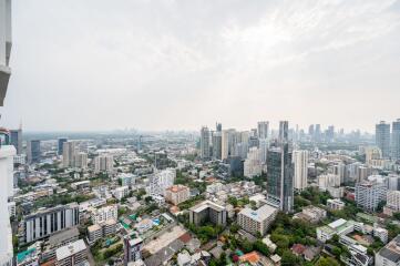 High-rise view of city buildings and skyline