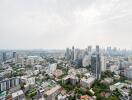 High-rise view of city buildings and skyline