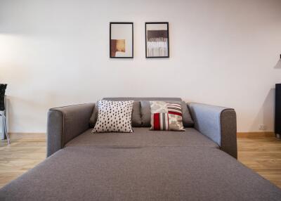 Living room with a gray sofa and decorative pillows