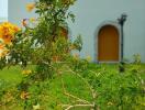 Beautiful garden with flower and arched door backdrop