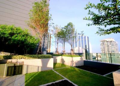 Rooftop garden with cityscape view