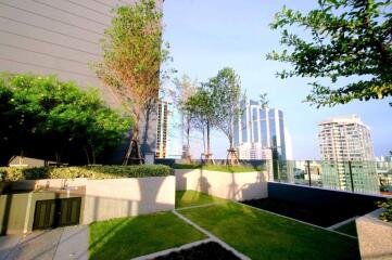 Rooftop garden with cityscape view