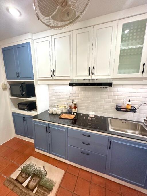 Modern kitchen with blue and white cabinetry