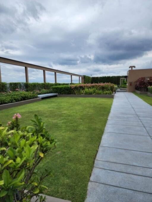 Rooftop garden with green lawn, pathway, and seating area