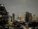 Night view of city skyline