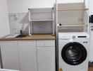 Laundry area with washing machine, sink, and shelves