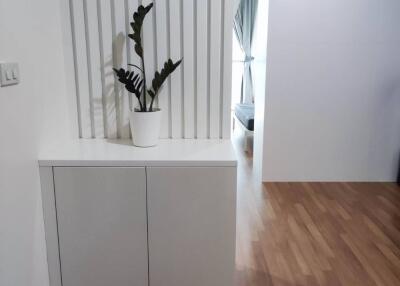 Minimalist living area with a plant on a cabinet