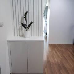 Minimalist living area with a plant on a cabinet