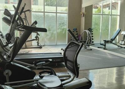 Well-equipped home gym with exercise machines and weights