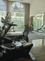 Well-equipped home gym with exercise machines and weights