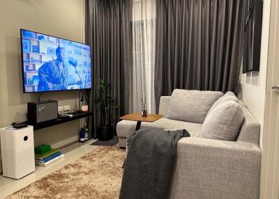 Cozy living room with a gray sofa, wall-mounted TV, and a rug