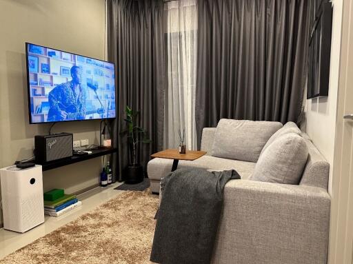 Cozy living room with a gray sofa, wall-mounted TV, and a rug