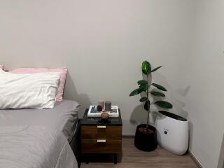 Modern bedroom with a bed, nightstand, plant, and air purifier