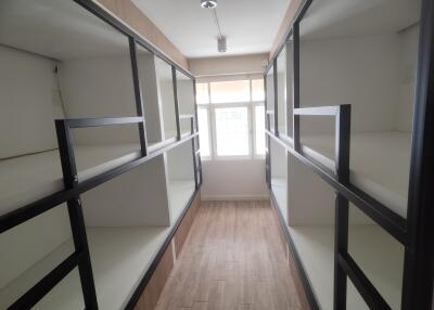 Room with multiple bunk beds and large window