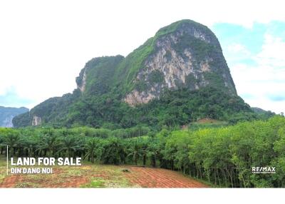 1,600 Sqm. Land listed for ฿ 1,900,000.