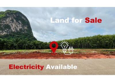 1,600 Sqm. Land listed for ฿ 1,900,000.