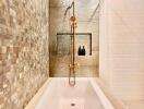 Modern bathroom with a bathtub and stylish shower fixtures