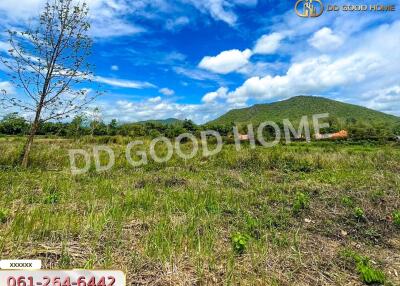 Open grass field with mountain and blue sky