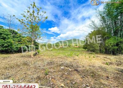 Open land with trees and blue sky