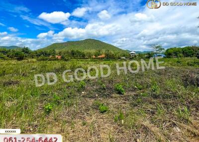 Vacant land with mountain view