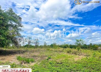 Open land with clear sky