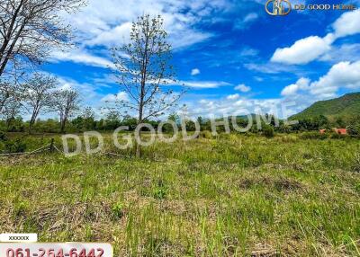 Open field with a single tree under a blue sky