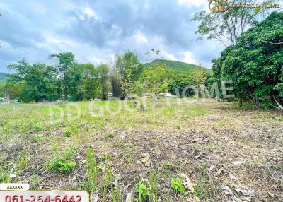 Open land area with a view of trees and hills