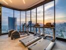 Modern gym with city view