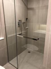 Modern shower area with glass door