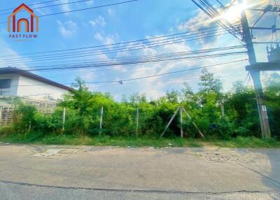 Street view of vacant lot with surrounding greenery