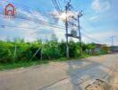 Street with greenery and power lines