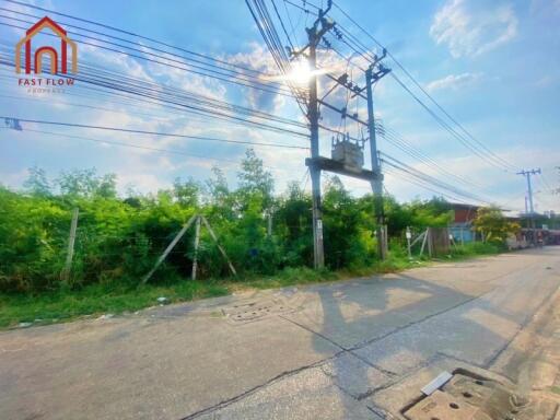 Street with greenery and power lines